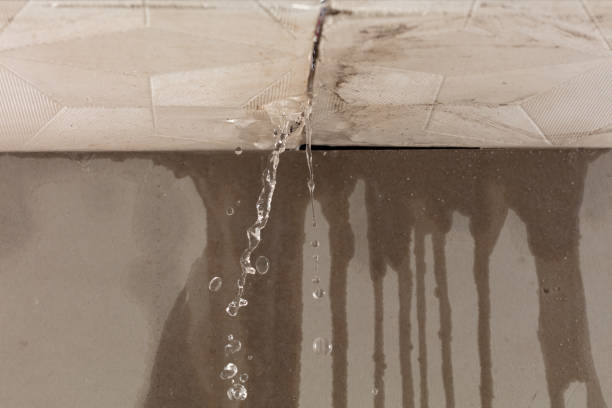 Professional Burst Pipe Cleanup technician working in Talking Rock, GA